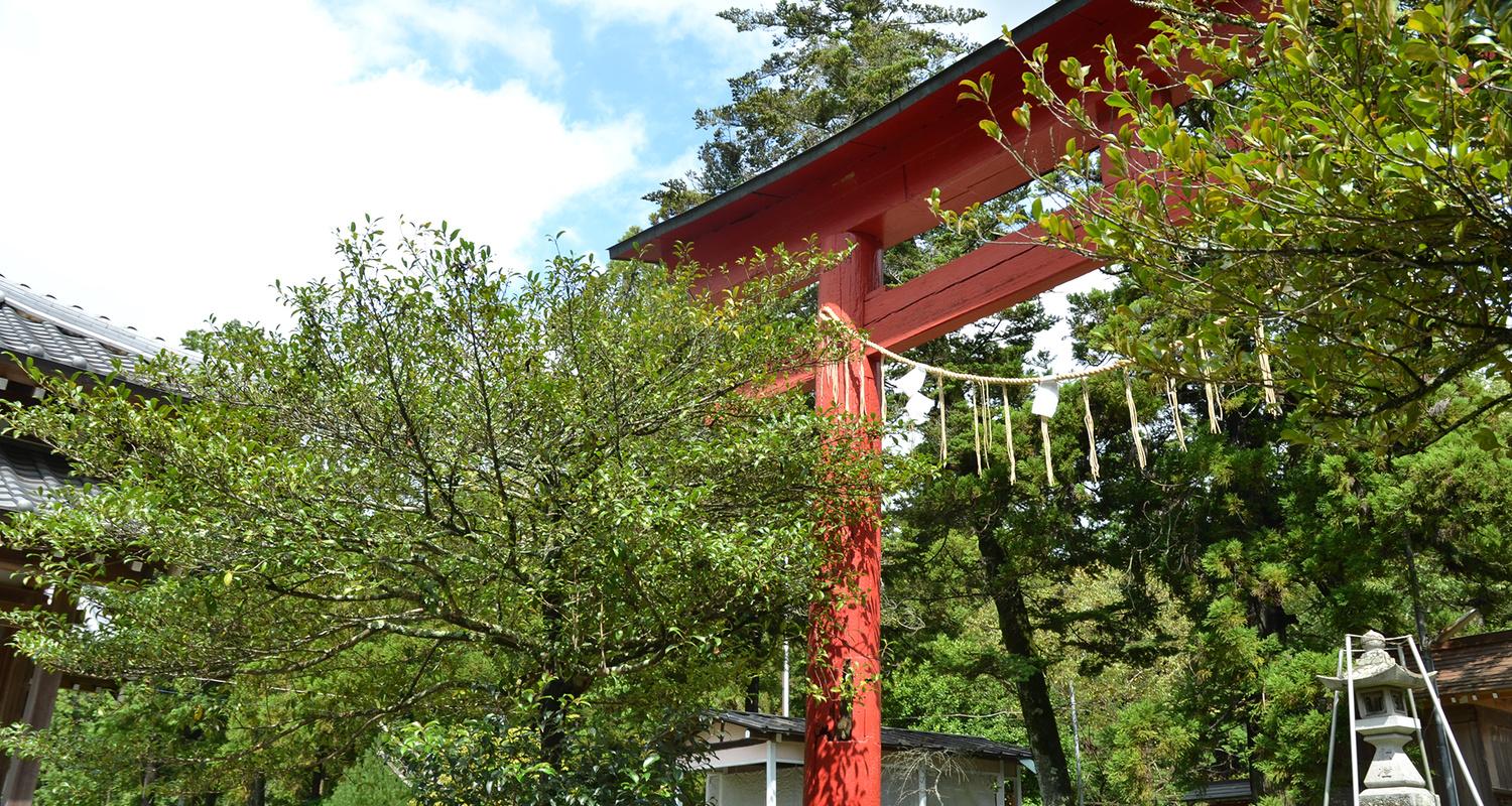 愛知 豊橋　賀茂神社　安産祈願