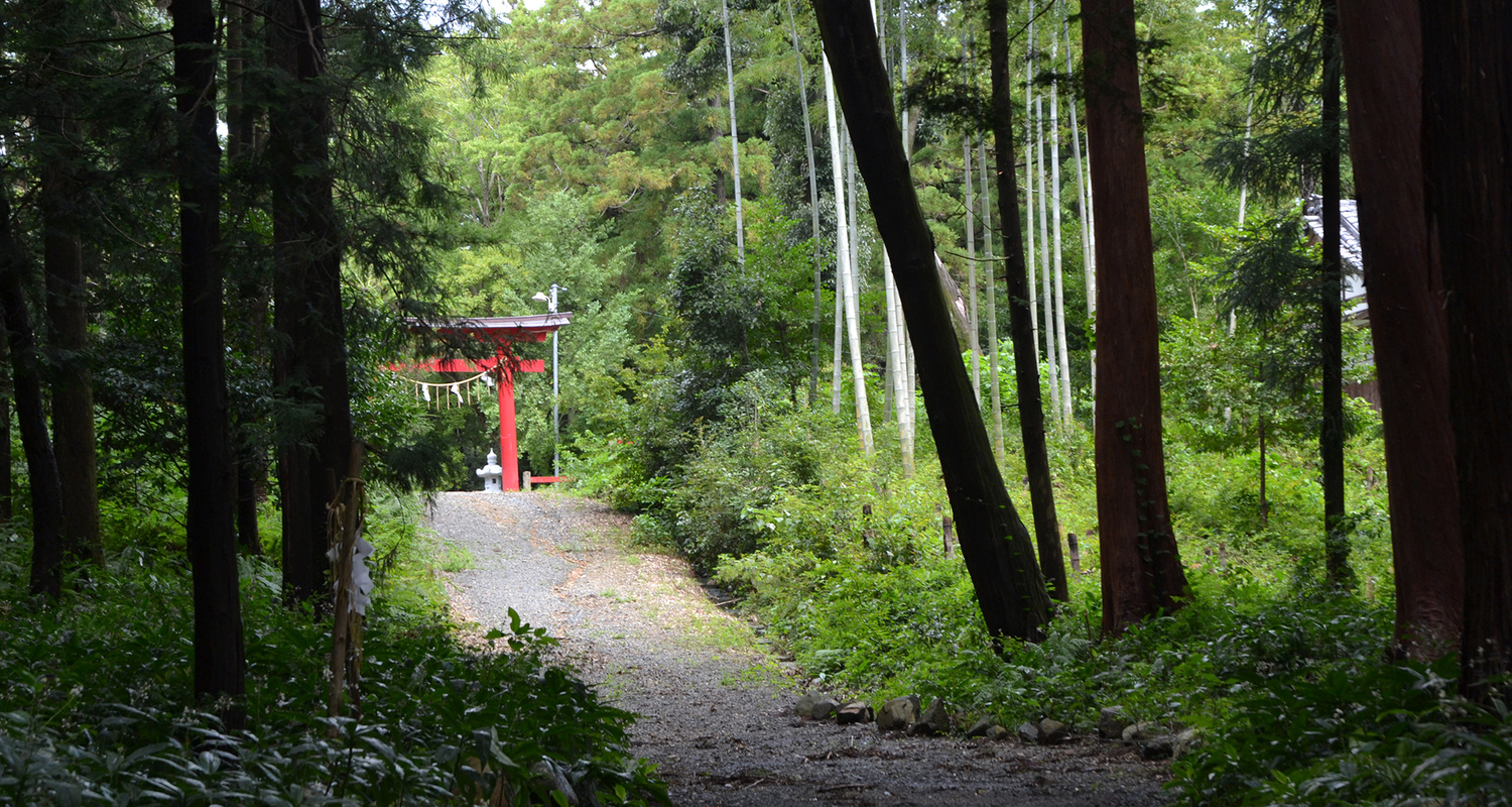 愛知 豊橋　賀茂神社　安産祈願