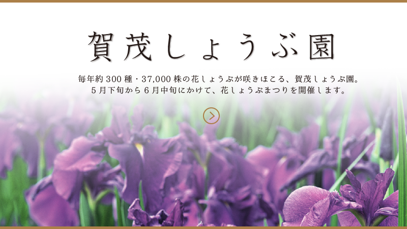 愛知 豊橋　賀茂神社