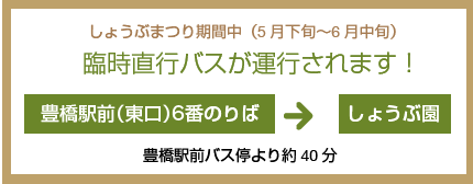 愛知 豊橋　賀茂神社