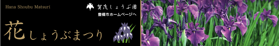 愛知 豊橋　賀茂神社　しょうぶ園
