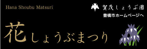 愛知 豊橋　賀茂神社　しょうぶ園