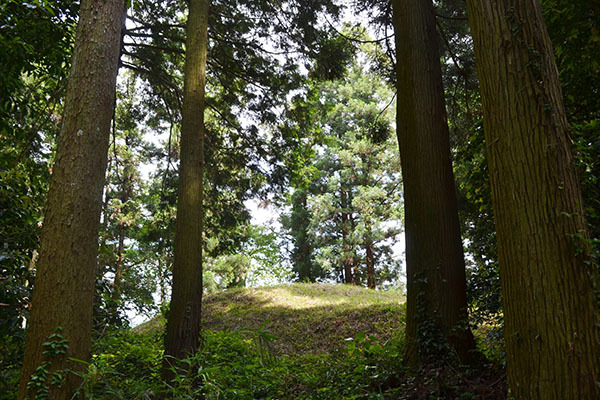 愛知 豊橋　賀茂神社　神山古墳