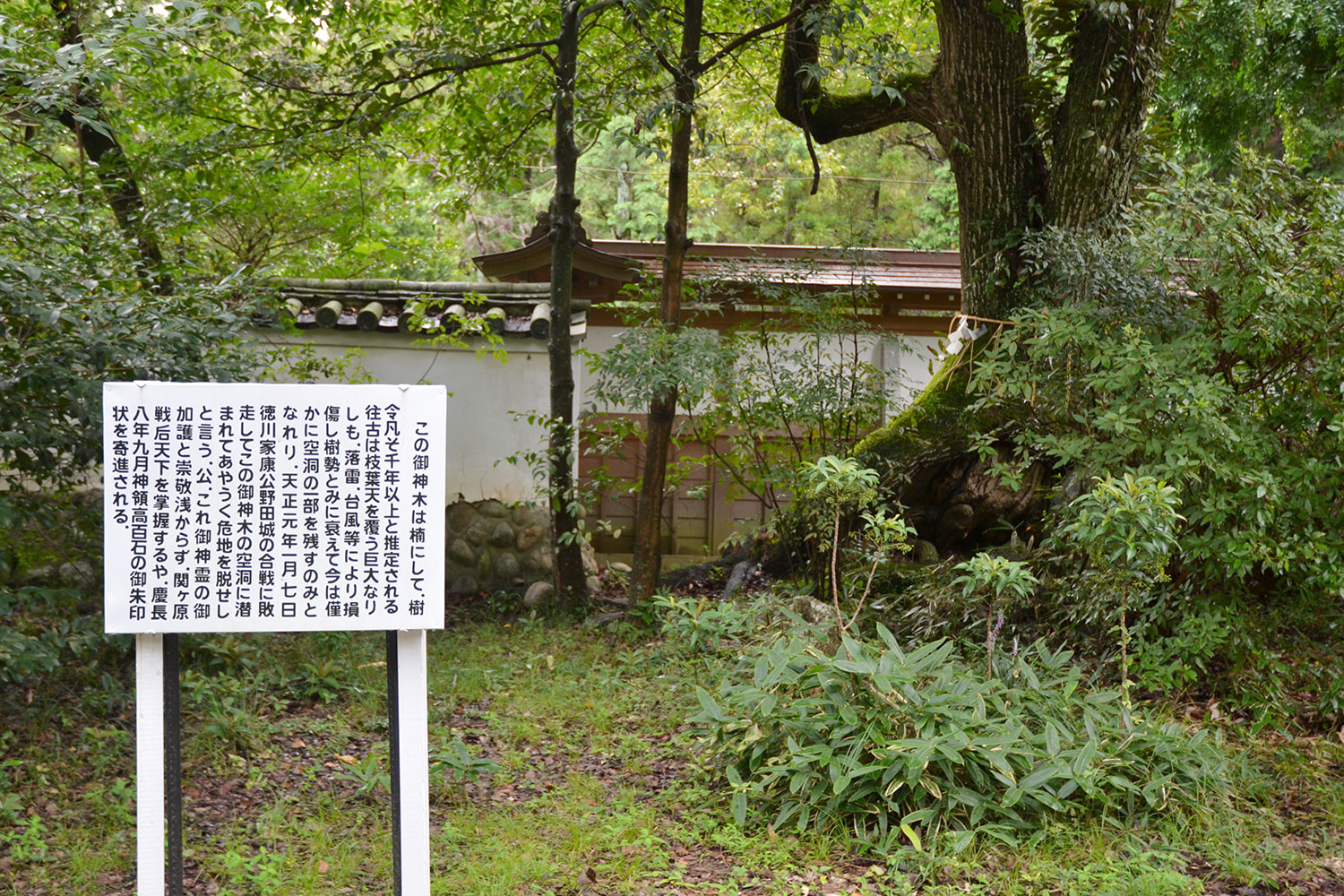 愛知 豊橋　賀茂神社